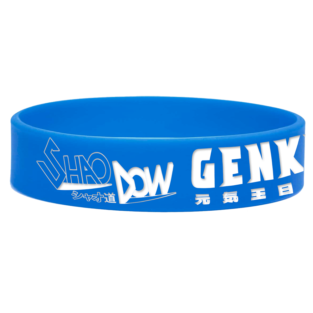 Genki Dama Tour Wristband
